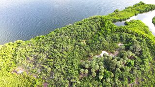 4K resolution - stunning aerial view of florida landscapes | Trending HD Video