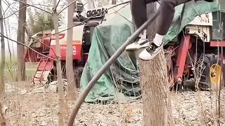 funny videos compilation 2 2