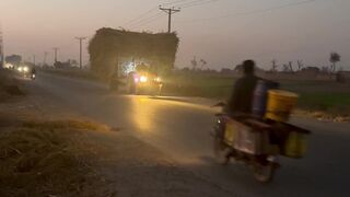 4K resolution - crop harvesting villages | Trending HD Video