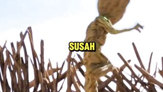 RUMAH GROOT DI RUSAK BURUNG