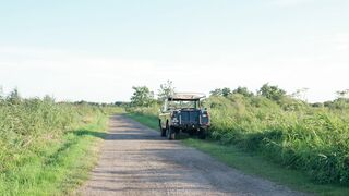 Scarred - id | Trending HD Video 62