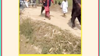 جوانوں کا خصوصی دستہ آبنائے ہرمز کی طرف رواں دواں !