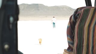 Funnyfuzzy - vanlife adventure with cat in desert salt flat | Trending HD Video