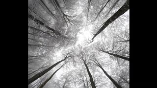 The Shy Snow Woman and the Cursed Ring - id | Trending HD Video 188