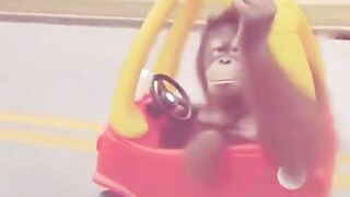 ohhh shit men........