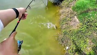 Fishing and Life Are the Same: Patience Makes the Moment Worth It ????