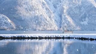 Winter solstice - id | Trending HD Video 82