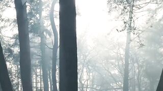 Winter Coat - id | Trending HD Video 95