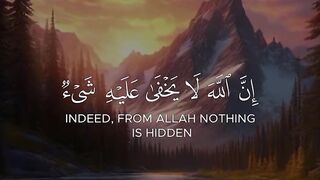 تلاوة خاشعة ولا اروع