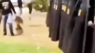 Mau ketawa takut dosa video  lucu bikin ngakak hiburan warga+62 #comedy #funny #lucu #trending #meme 39