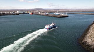 Winter Coat - id | Trending HD Video 97