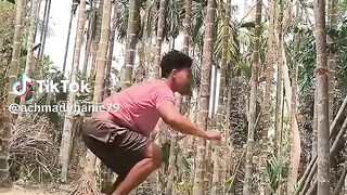 Atraksi yang menakjubkan?