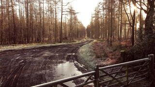 Smartphone POCO X7 PRO 5G NFC tela Amoled C mera 4K - id | Trending HD Video 16