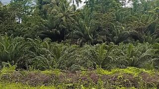 This is the house of the future, so what do you want to be proud of in this world?????????????