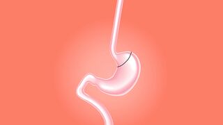 Woman - id | Trending HD Video 9