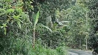 It's so beautiful, guys, try watching it, guys ????????????