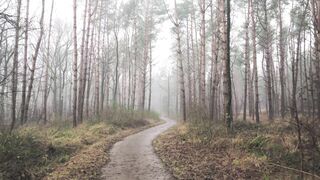 4K resolution - id | Trending HD Video 59