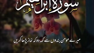 Urdu Tilawat e Quran Majeed 3