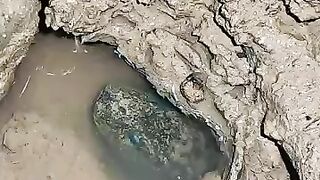 Looking for a fish or eel... Thanks for watching..!! 32