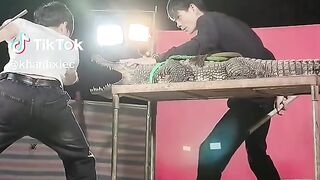 Bermain dengan buaya?