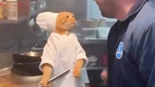 Master chef gets mad