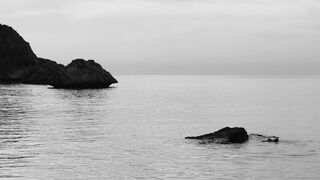 The Bold and the Beautiful - id | Trending HD Video 100