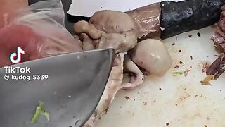 Cook Horse Big Vital  Organ for Eating