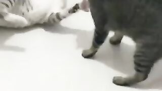 Now You’ve Done It