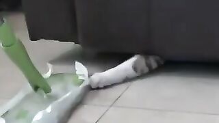 The Creature Under the Chair 2