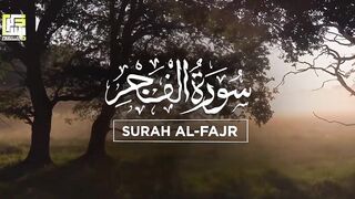 Soul touching recitation of Surah Al Fajr (سورة الفجر) | Zikrullah TV