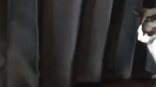 Nobody Wants to Play 2