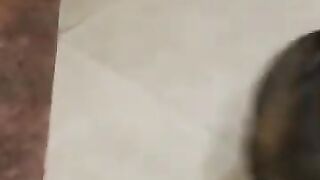 Cat Freaks Out On Lizard