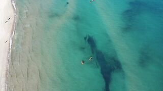 Sports - id | Trending HD Video 13