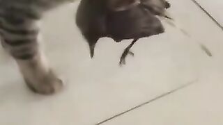 Bird Enters Den of Horrors