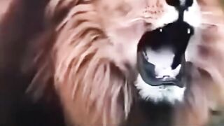 Singing in every country!