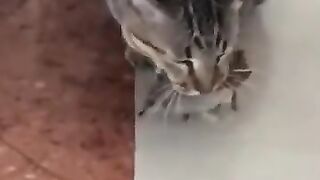 Big Brother is Watching