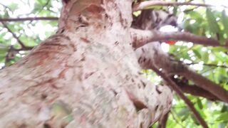 Beautiful nature 277