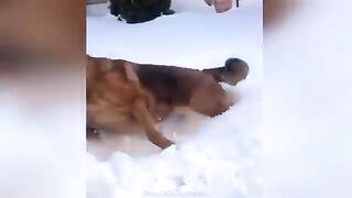 Funny Videos Part 100