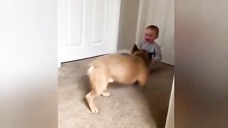 Funny Videos Part 102