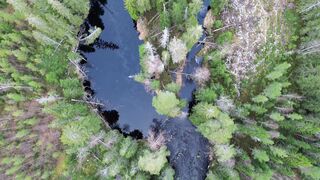 4K Computer Monitor - aerial view of serene forest river in 4k | Trending HD Video
