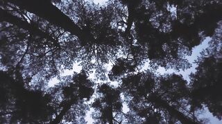 4K Resolution Video | Trending HD Video