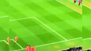 Newcastle Gagal Menang di Injury Time Liga Champions