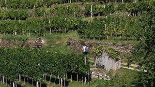 Woman Within - id | Trending HD Video 42