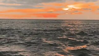 හැන්දෑවක මුහුදක් ගගක් ලග ගතකරන එක කොච්චර සුන්දරද????❤️