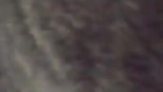 Mouse Tries to Negotiate with Cat