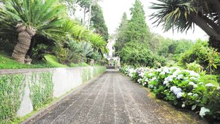 4K Computer Monitor - id | Trending HD Video 146