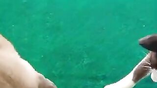 Cats Chase Fast Snake