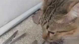 Lunch Has Been Served