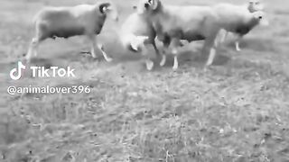 Xxx TikTok viral video