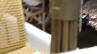 Stray Cat Joins Us for Dinner at Restaurant